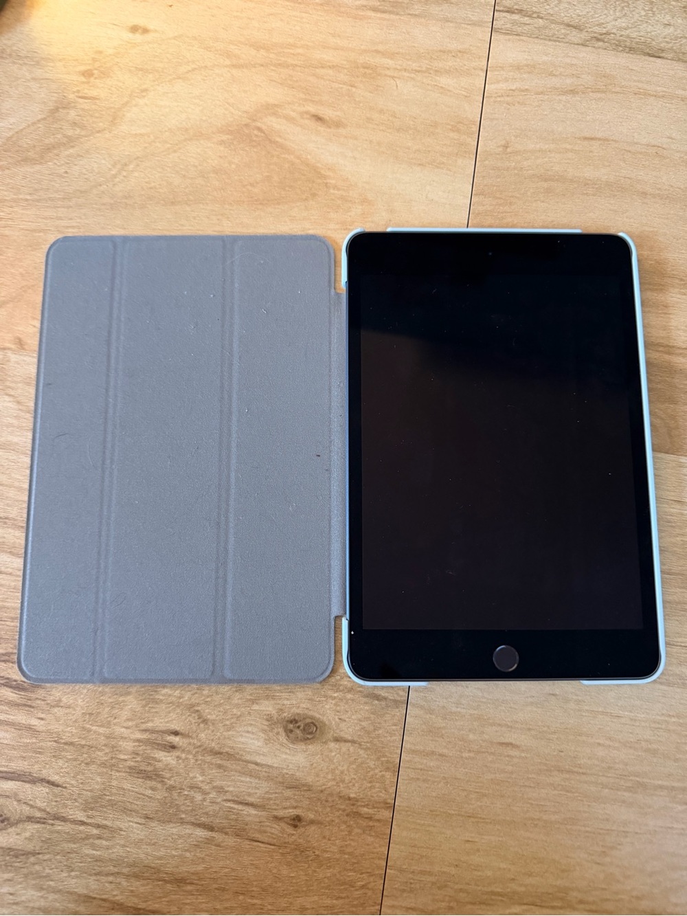 Apple iPad Mini (5th generation) with Light Blue and Gray Cover